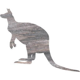 kangaroo 5 icon