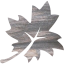 leaf 3