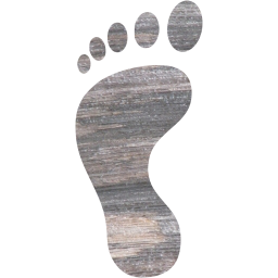 left footprint icon