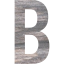 letter b