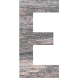 letter e icon