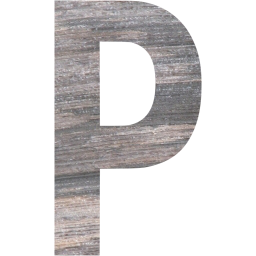 letter p icon