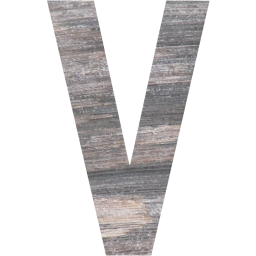 letter v icon