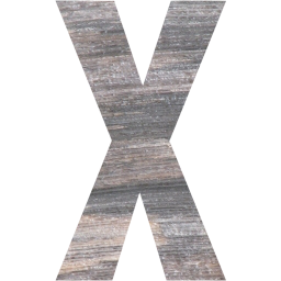 letter x icon