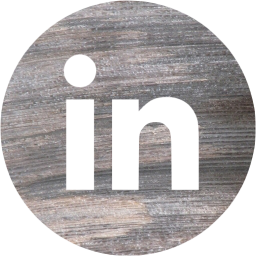 linkedin 4 icon
