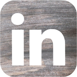 linkedin 6 icon