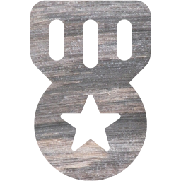 medal 3 icon