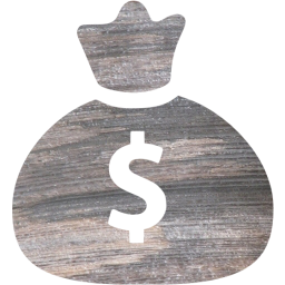 money bag icon