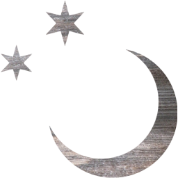 moon icon