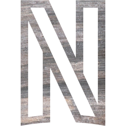 netflix icon
