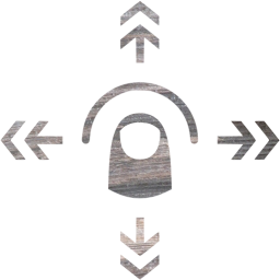 omnidirectional flick icon