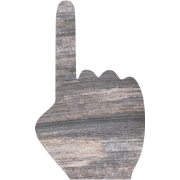 one finger icon