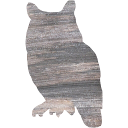 owl icon