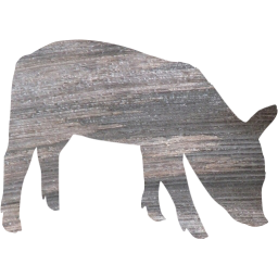 pig 2 icon