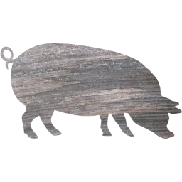 pig 4 icon