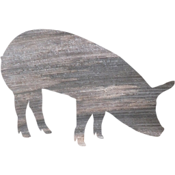 pig 5 icon
