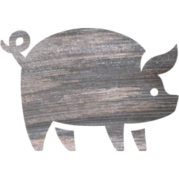 pig icon