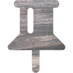 pin 2 icon