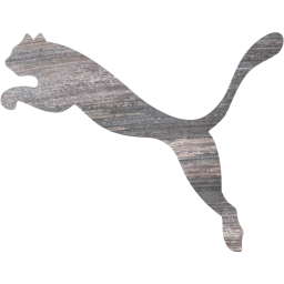 puma 2 icon