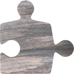 puzzle icon
