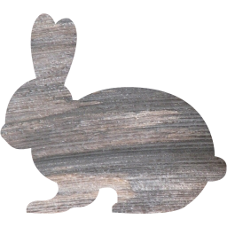 rabbit 2 icon