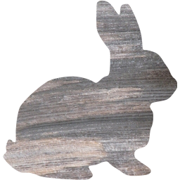 rabbit icon