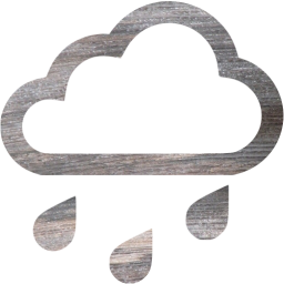 rain icon