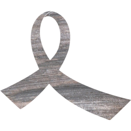 ribbon 13 icon