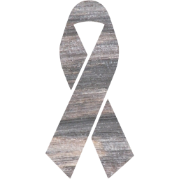 ribbon 17 icon