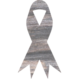 ribbon icon