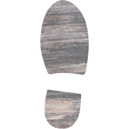 right shoe footprint icon