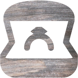 ring icon