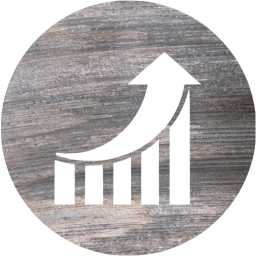 seo performance 2 icon
