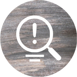 seo tips 2 icon