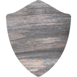 shield icon
