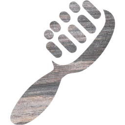shoe brush 2 icon