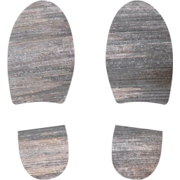 shoes footprints icon