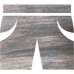shorts icon