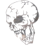 skull 16