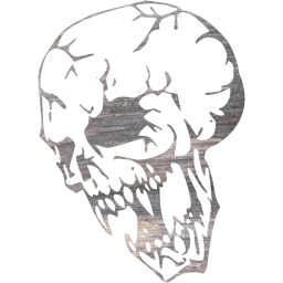 skull 16 icon