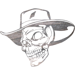 skull 2 icon