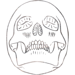 skull 29 icon