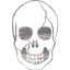 skull 37