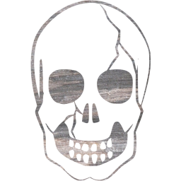 skull 37 icon