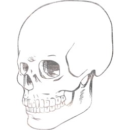 skull 38 icon