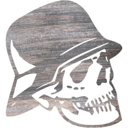 skull 39 icon