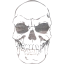 skull 41