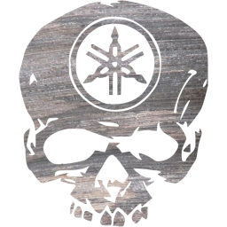 skull 49 icon