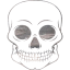 skull 55