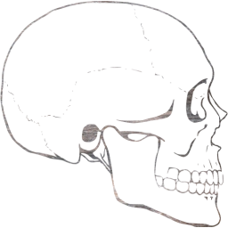skull 62 icon